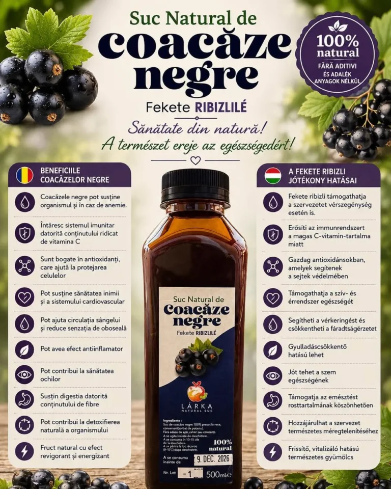 Sirop de Coacăze Negre- 500 ml